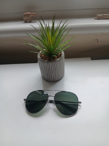 Plain sunglasses